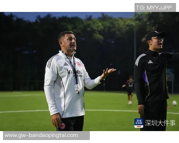 实时新闻深圳足球队的现状揭秘巨献背后的努力与挑战分析